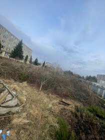 Ponúkame kosenie a čistenie pozemkov - 15