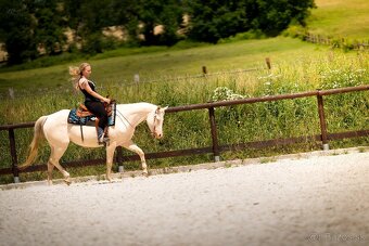 Cremello klisnička s odznaky s reining/cutting původem - 15