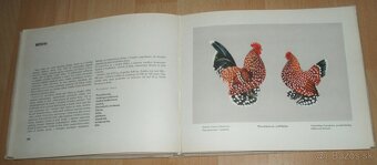 Atlas plemien hydiny - 15