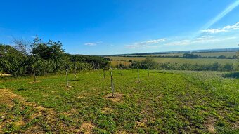 Na predaj viničný dom s pozemkom a krásnym výhľadom na mesto - 15
