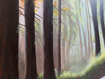 Obrazy originály - 15