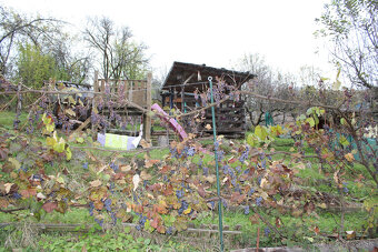 SPEKTRUM REALITY- Na Predaj záhrada 312 m2,, záhradkárska os - 15