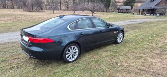 Jaguar XF 260 2016r 3.0d - 15