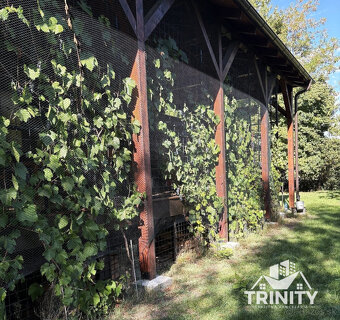 Na predaj pozemky s chatkou medzi mestom Šurany a Palárikovo - 15