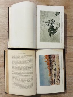 5x Sven Hedin - 15