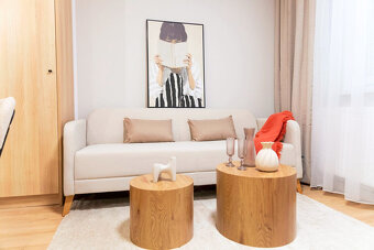 Iba u nás Na prenájom 2i nový dizajnový byt , loggia, voľný - 15