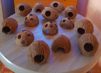 Krevetky,ryby,slimáky - 15