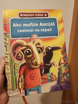 Rôzne knižky - 15