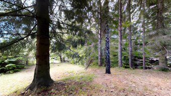 Stýlová retro drevenica s veľkým pozemkom Králiky - 15