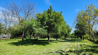 Vinica: Skrytý klenot s chatou a čarovnou záhradou - 15