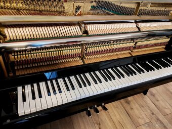 Petrof Prestížna elegancia dovoz celá SR - 15