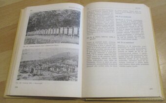 1000 otázok a odpovedí zo včelárstva - 15