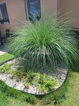 Na predaj RD v Kostolnom Seku - 15