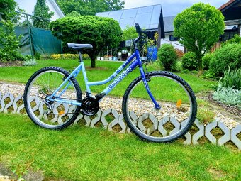 Bicykel Engine - 15