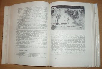 Včelárstvo - 15