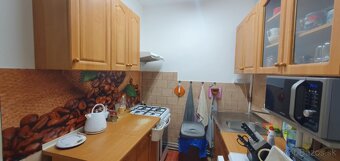 RODINNÝ DOM v krásnej lokalite (Tokajská oblasť) - 15