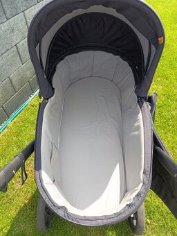 Roan bass next 2023 3v1 - 15