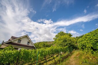 PREDAJ Pozemok 650 m2, Devín, Devínska cesta, Bratislava - 15