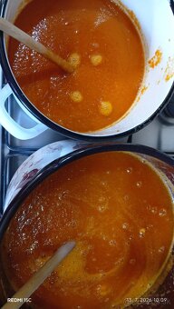 Chilli - 15