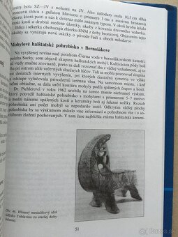 Světový terorismus, Svätý Jakub a Kostiviarska, Čapáci - 15