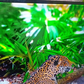 Samsung 55(138cm) smart led tv - 15