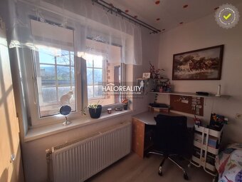 HALO reality - REZERVOVANÉ (prihláste sa na čakaciu listinu) - 15