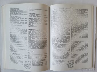 Mojmír Benža a kolektív - Senica, dejiny mesta - 15