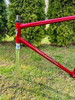 Colnago Esa Mexico Sarroni red - 15
