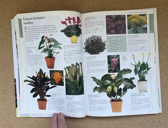Knihy Príjemný Život s Kvetinami Obľúbené Izbové Kvety - 15