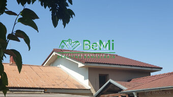 Dva rodinné DOMY...NITRA...Janíkovce (172-12-DARE) - 15