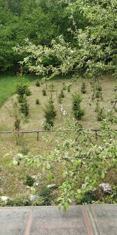 Chata pri Lese Dubina V. - 15