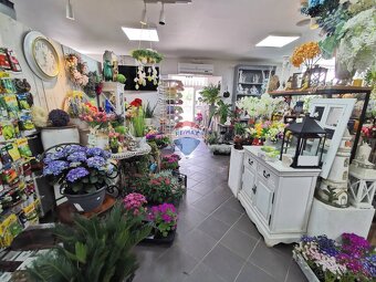 Záhradné centrum na  prenájom, 1800m2, Snina - 15