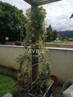 NA PRENÁJOM: 3izbový byt 53 m2 s terasou, záhradkou a parkov - 15
