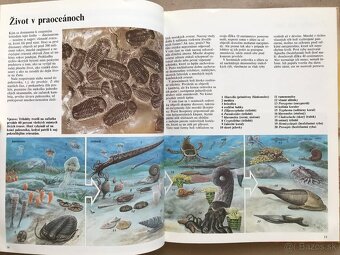 Biblické príbehy, Čarovná Rozprávkarka, Vedomosti v Kocke - 15
