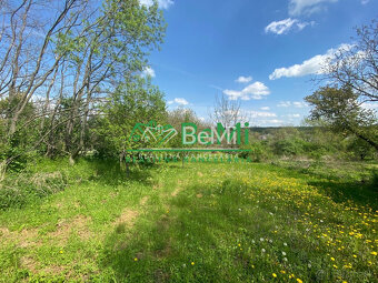 Pozemok v obci Sľažany 3 595 m2 intravilán ID 558-14-MIG - 15