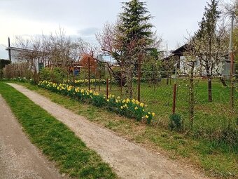 Záhrada na predaj - 15