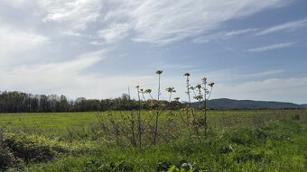 Štvorizbový byt 96m2 s výnimočnou atmosférou v NESTO - 15