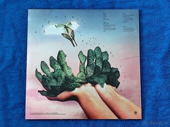 Raveena - Where the butterflies go in the rain (platňa,Vinyl - 15