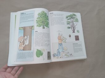 Renée Kayser: Priateľ lesa - 15