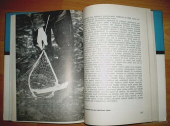 Lipeň - 15