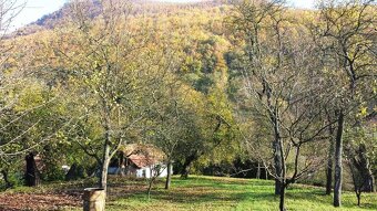 Veľký pozemok s domom a možnosťou výstavby – Hollóháza - 15