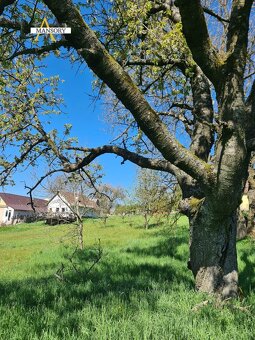 Na predaj rodinný dom s pozemkom 3228 m2 v obci Podkriváň - 15