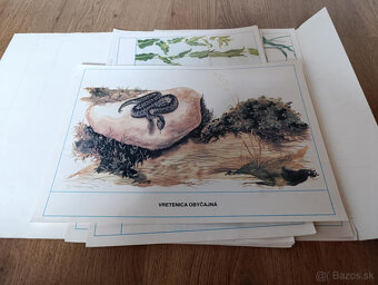 Staré školské pomôcky - 15