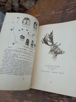 Predám knihu polovníctvo v obrazoch - 15