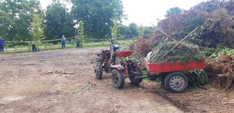 Predám malotraktor dom.výroby,6 ročný, motor 4-takt,210cm3 - 15