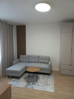 Prenajmem 1 izbový byt v centre KE-Palárikova 3 - 15