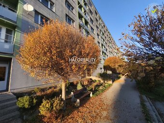 HALO reality - Predaj, trojizbový byt Žiar nad Hronom, Centr - 15