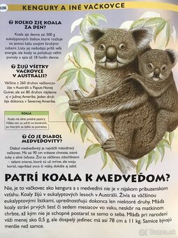 Star Wars, Čarodejológia, Rapotanky, Walt Disney Aladin - 15