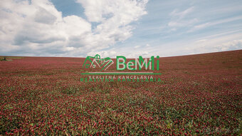 RODINNÝ DOM S EXKLUZÍVNOU PIVNICOU - 15