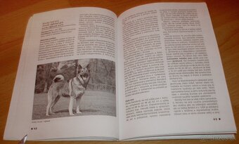 Severské plemená psov - 15